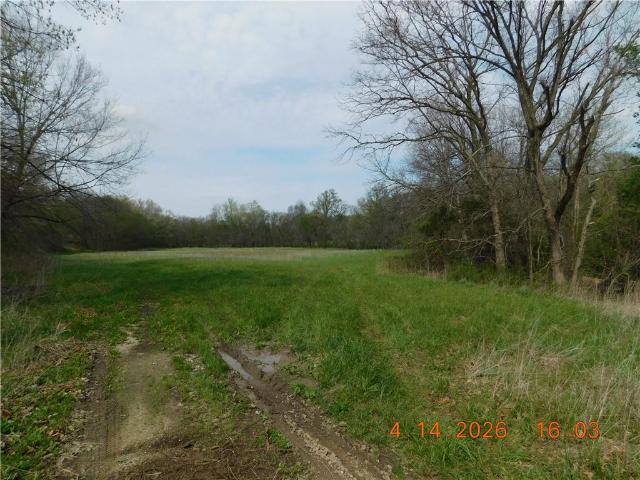 Land for sale in Chilhowee, Missouri