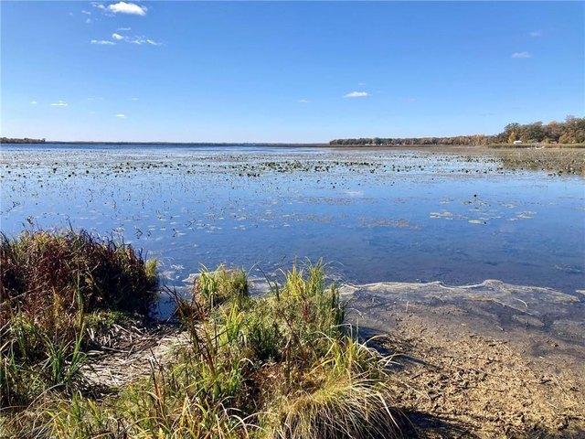 Land for sale in New York Mills, Minnesota