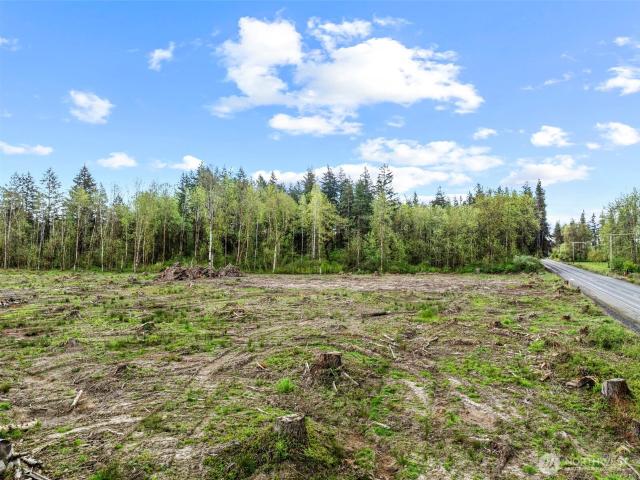 Land for sale in Toledo, Washington