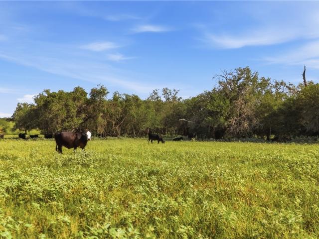 House for sale in Gonzales, Gonzales County