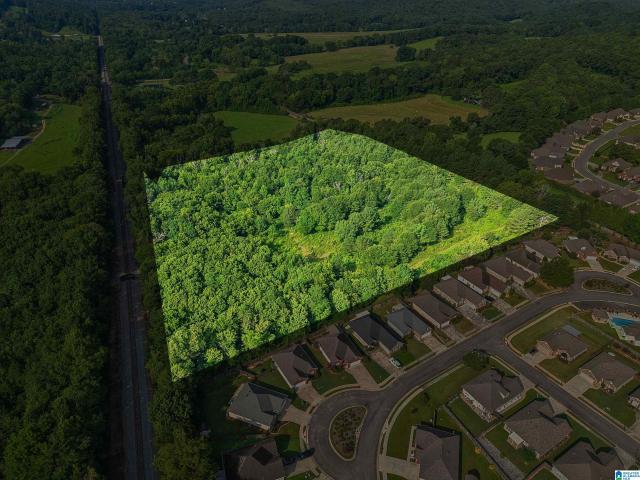 Commercial for sale in Springville, St. Clair County