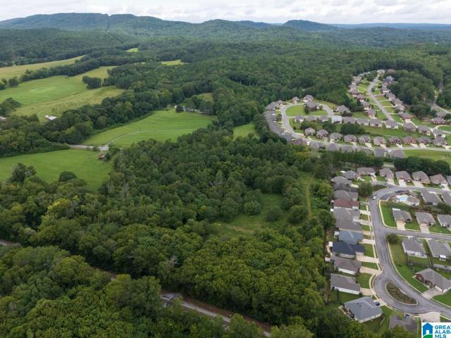 Commercial for sale in Springville, Alabama