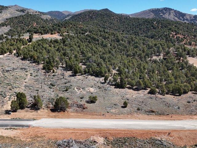 Land for sale in Birdseye, Utah