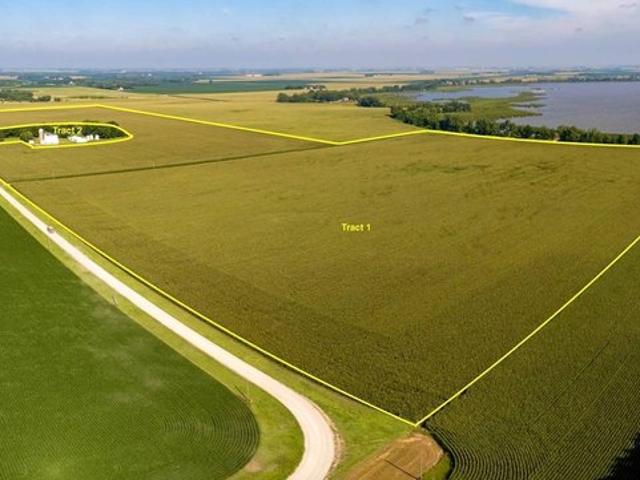 Farm for sale in Easton, Minnesota