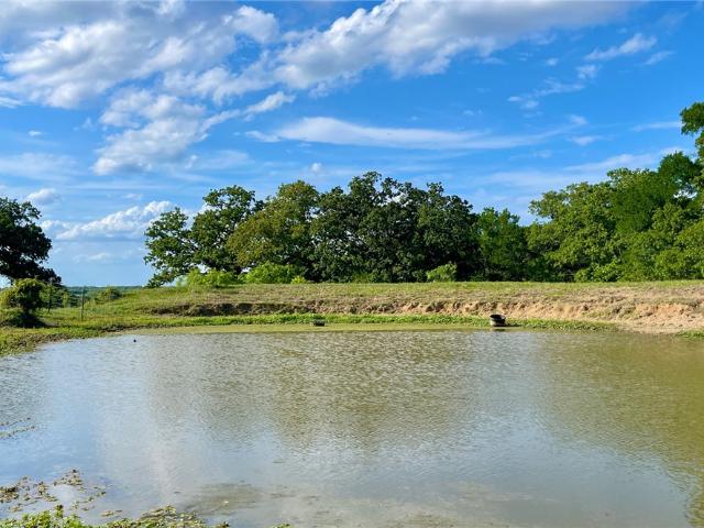 Land for sale in Chilton, Texas
