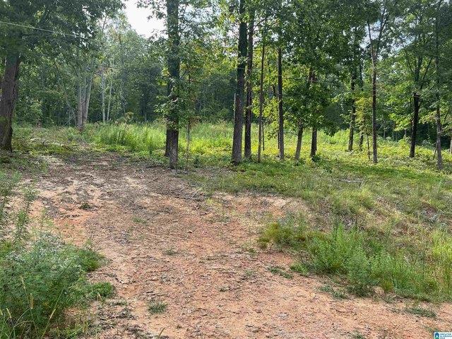 Land for sale in Odenville, St. Clair County