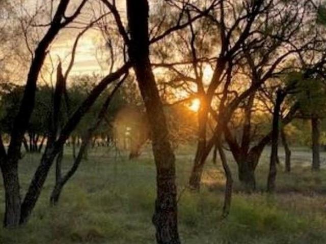 Land for sale in Evant, Texas