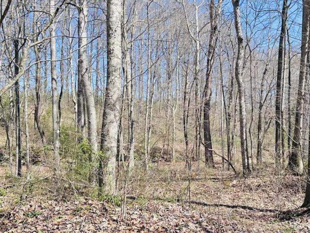 Land for sale in Eubank, Kentucky