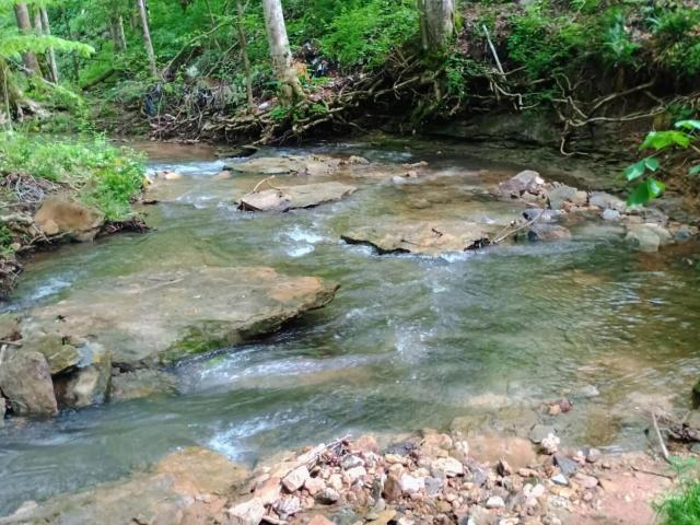 Land for sale in Eubank, Kentucky