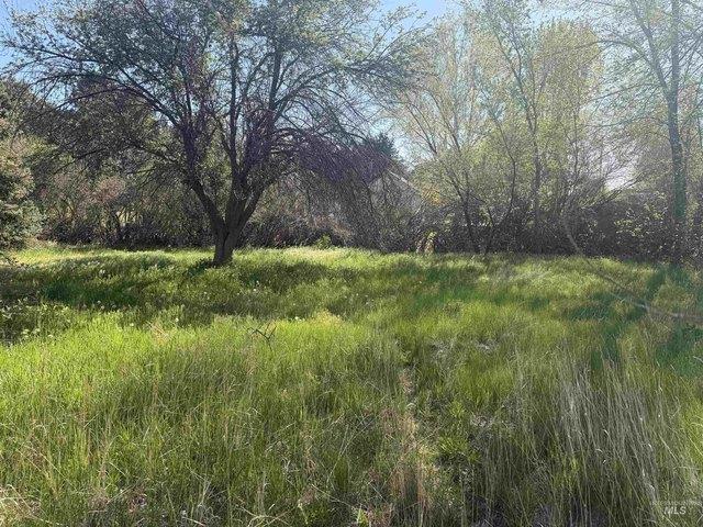 Land for sale in Bliss, Idaho