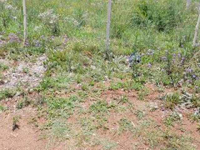 Land for sale in Midvaal, Gauteng