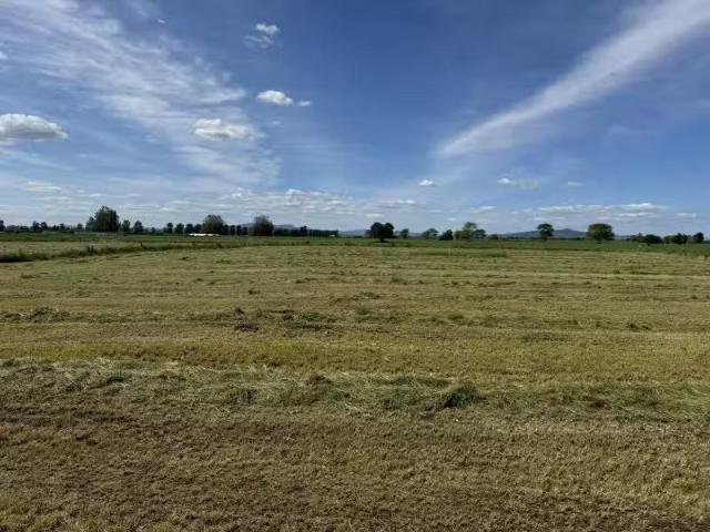 House for sale in Gordonton, Waikato