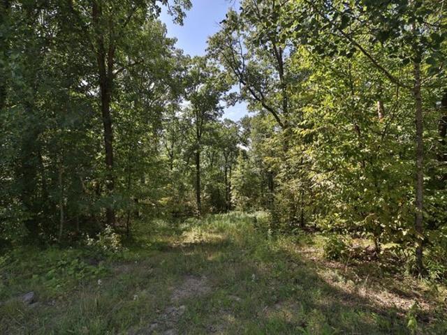 Land for sale in Todd, Minnesota