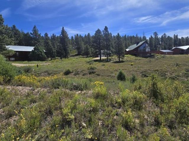 Land for sale in Duck Creek Village, Utah