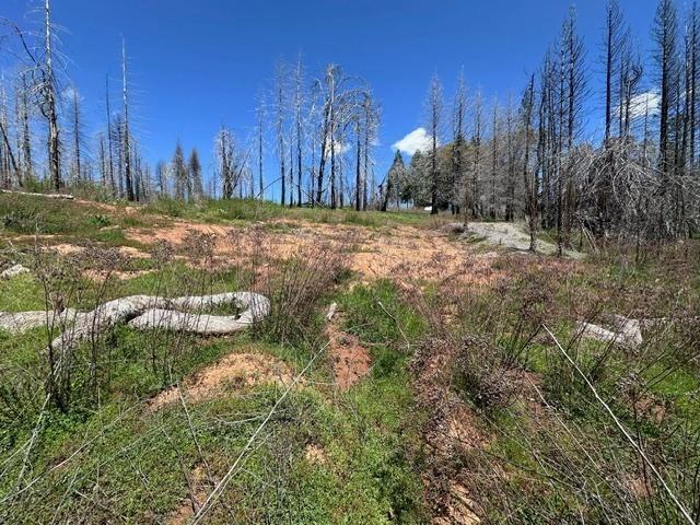 Property for sale in Grizzly Flats, California