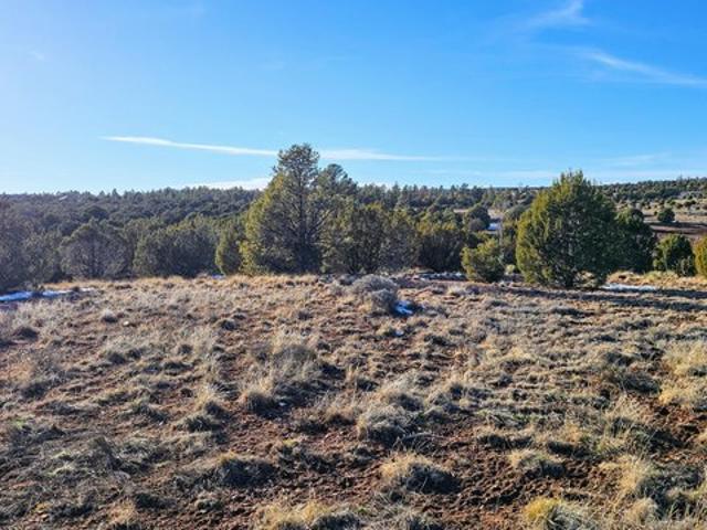 Land for sale in Navajo, Arizona