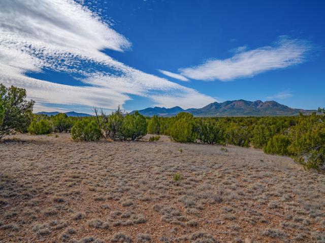 House for sale in New Mexico