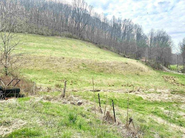 Farm for sale in Jane Lew, West Virginia