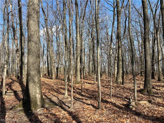 Land for sale in Ashland, Ohio