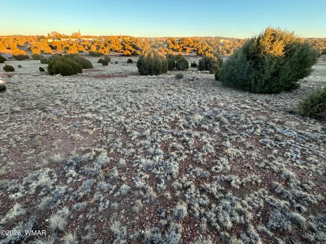 Farm for sale in Navajo, Arizona