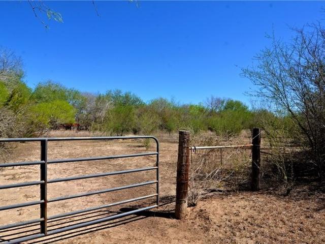 Land for sale in Bee, Texas