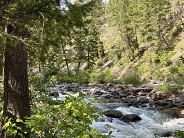 Land for sale in Yellow Pine, Valley County