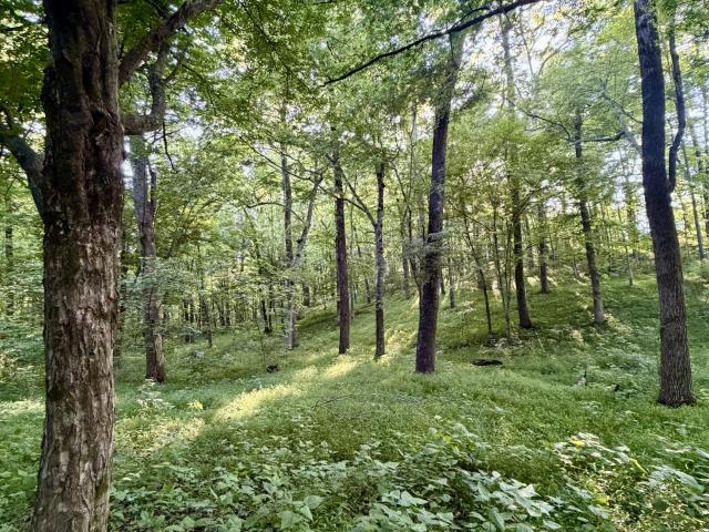 Land for sale in Tennessee