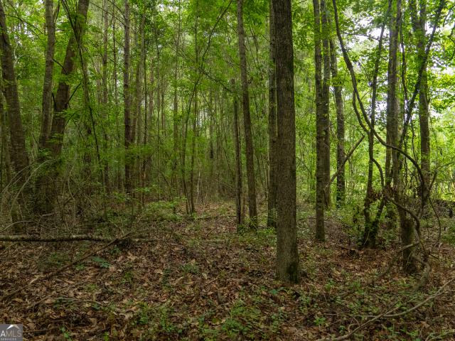 Land for sale in Dry Branch