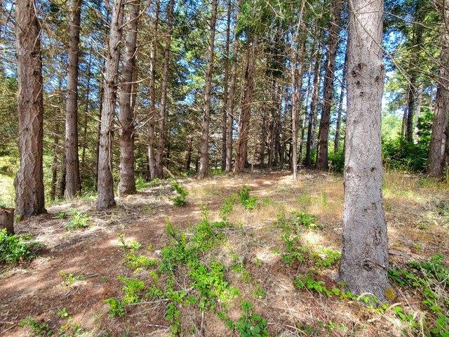 Land for sale in Humboldt, California