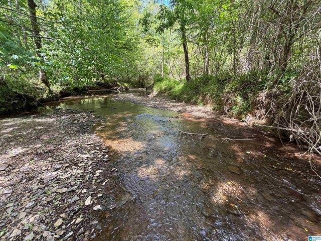 Land for sale in Parrish, Alabama