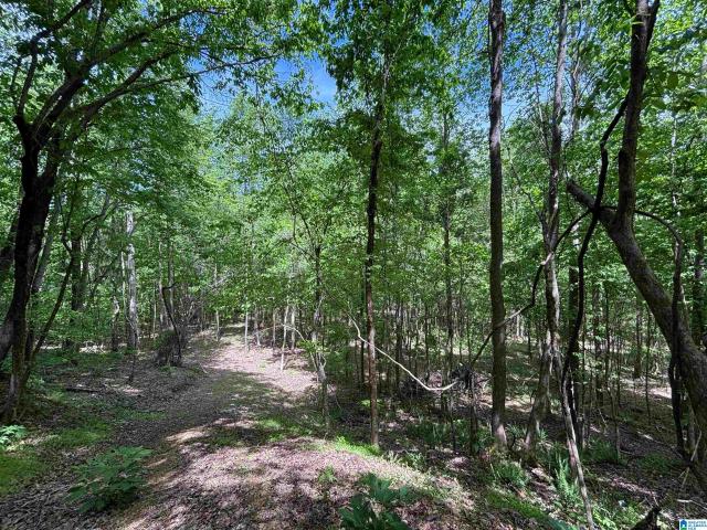 Land for sale in Parrish, Alabama