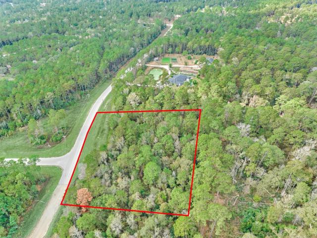 Land for sale in Walker, Texas
