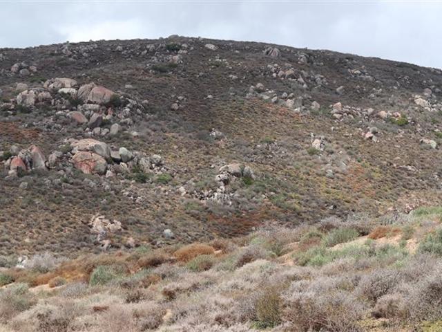 Land for sale in Western Cape