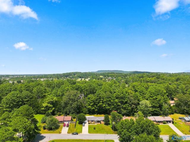 House for sale in Madison, Alabama