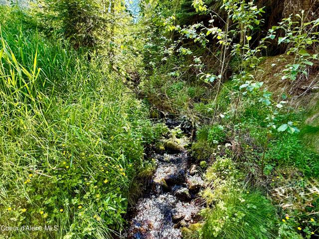 Land for sale in Shoshone, Idaho