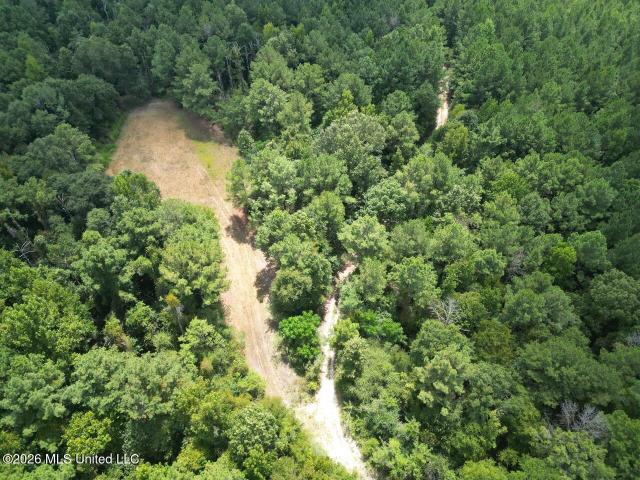 Land for sale in Roxie, Mississippi