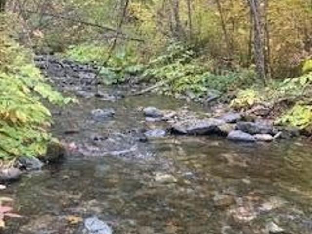 House for sale in Douglas City, Trinity County