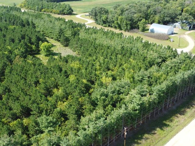 Land for sale in New York Mills, Minnesota