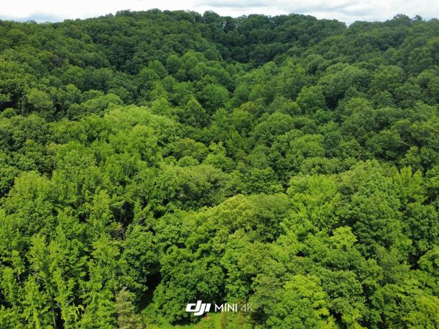Land for sale in Tennessee