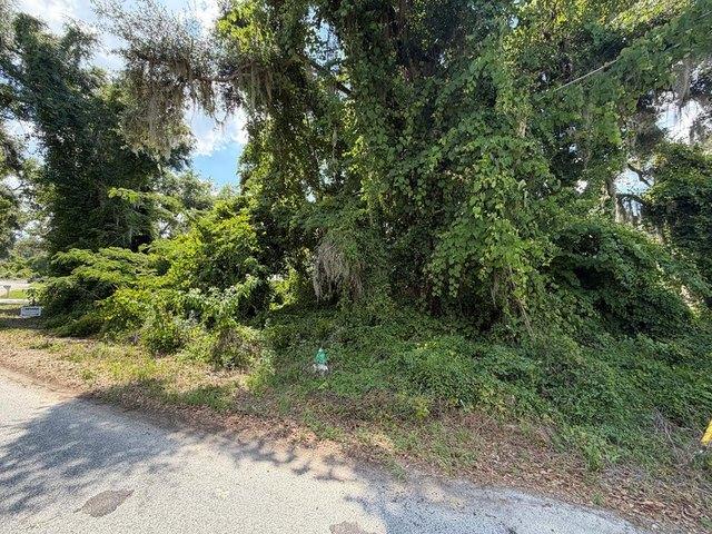 Land for sale in Lowndes, Georgia