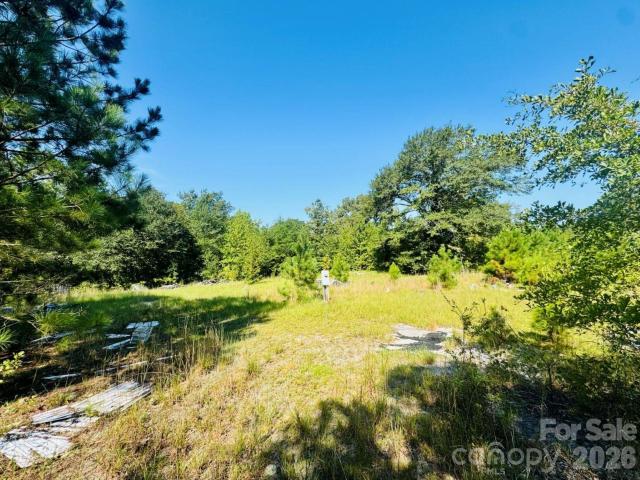 Land for sale in Jefferson, South Carolina