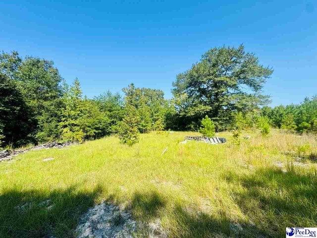 Land for sale in Jefferson, South Carolina