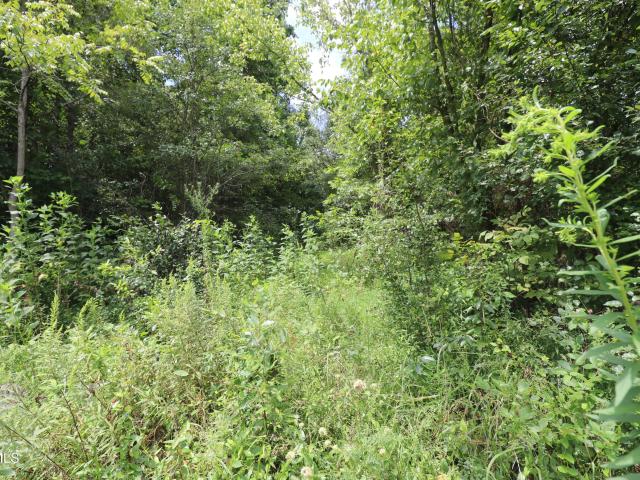 Land for sale in Tennessee
