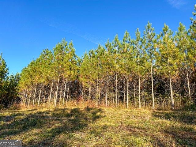 Land for sale in Waverly Hall, Georgia