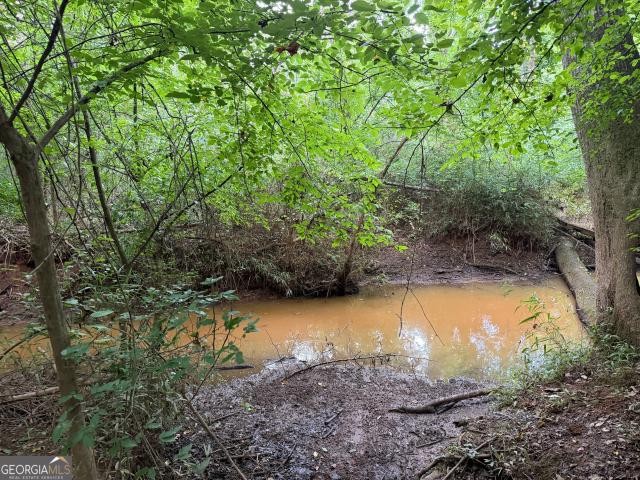 Land for sale in Waverly Hall, Georgia