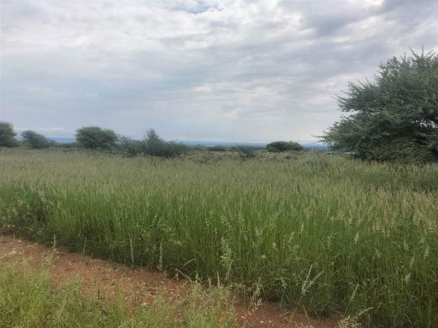 Land for sale in Douglas, Northern Cape