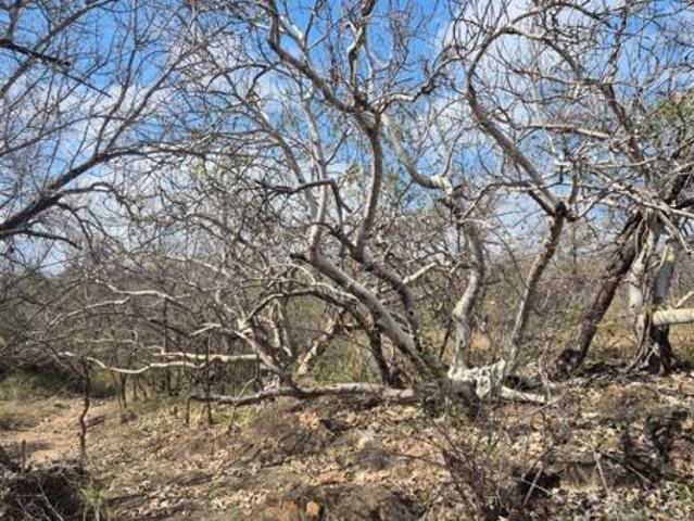 Land for sale in Mopani, Limpopo