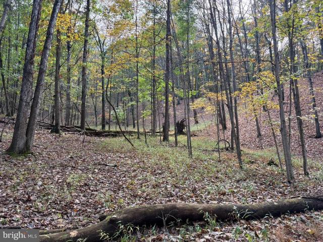 Land for sale in Wagoner, Fort Ashby