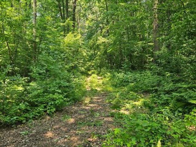 Land for sale in Cameron, Wisconsin