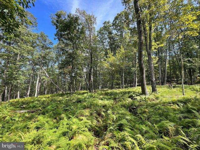 Land for sale in Zion Grove, Pennsylvania